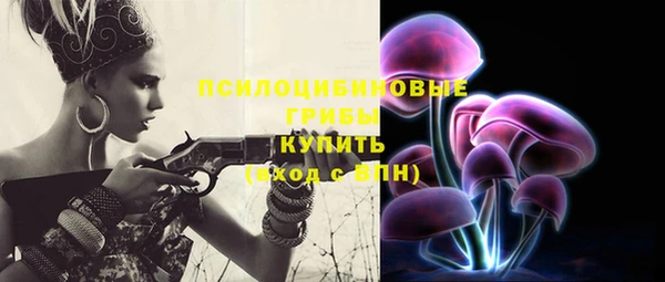 хмурый Балабаново