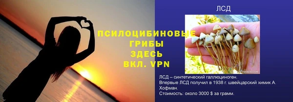 сатива Белокуриха
