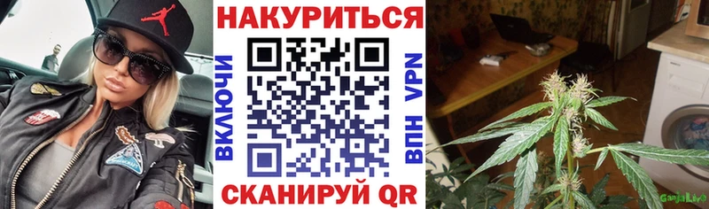 Купить где  Фрязино  МАРИХУАНА марихуана 